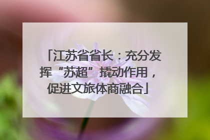 江苏省省长：充分发挥“苏超”撬动作用，促进文旅体商融合