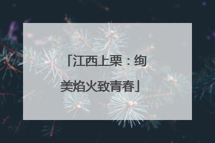 江西上栗：绚美焰火致青春