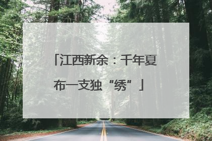 江西新余：千年夏布一支独“绣”