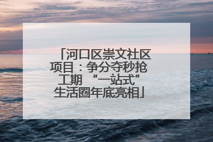 河口区崇文社区项目：争分夺秒抢工期 “一站式”生活圈年底亮相