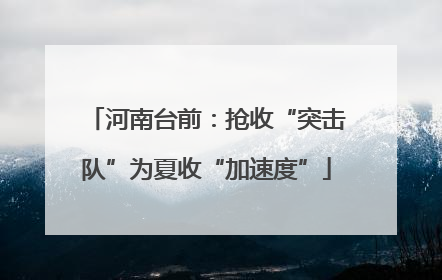 河南台前：抢收“突击队”为夏收“加速度”