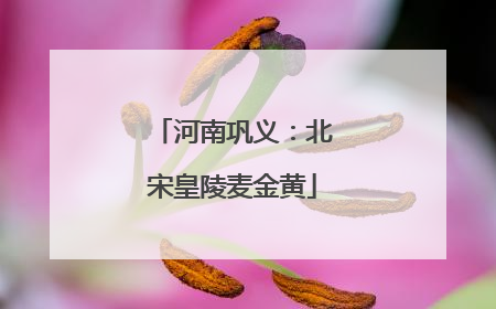 河南巩义：北宋皇陵麦金黄