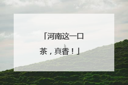 河南这一口茶，真香！