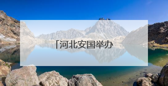 河北安国举办中药鉴别大赛