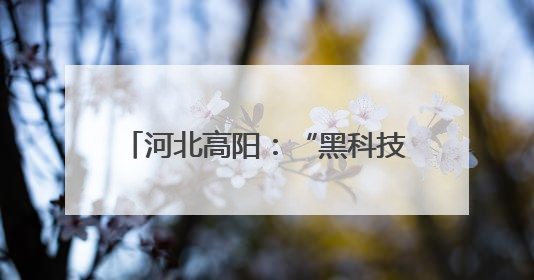 河北高阳：“黑科技”赋能夏种 跑出农业生产“加速度”