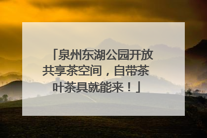 泉州东湖公园开放共享茶空间，自带茶叶茶具就能来！