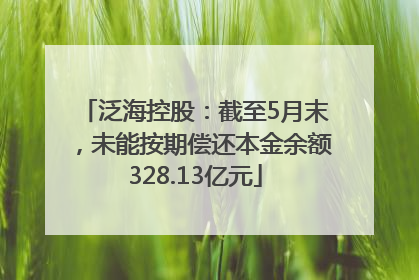 泛海控股：截至5月末，未能按期偿还本金余额328.13亿元