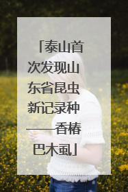 泰山首次发现山东省昆虫新记录种——香椿巴木虱