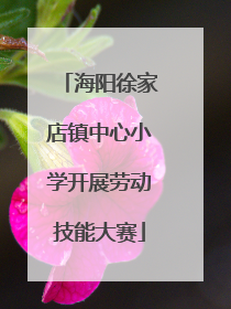 海阳徐家店镇中心小学开展劳动技能大赛