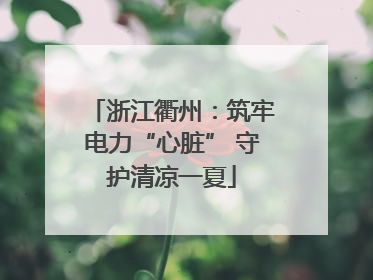 浙江衢州：筑牢电力“心脏” 守护清凉一夏
