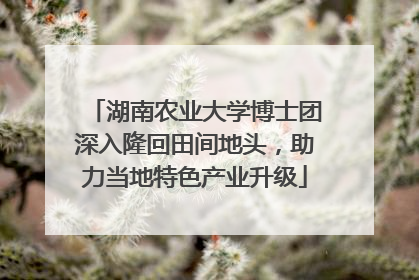 湖南农业大学博士团深入隆回田间地头，助力当地特色产业升级