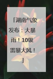 湖南气象发布：大暴雨！10级雷暴大风！