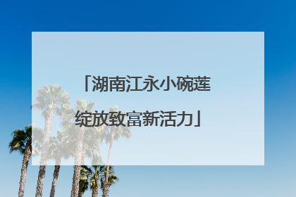 湖南江永小碗莲绽放致富新活力