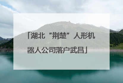 湖北“荆楚”人形机器人公司落户武昌