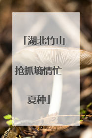 湖北竹山抢抓墒情忙夏种