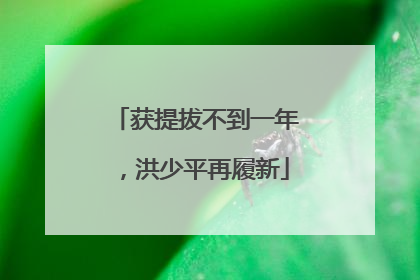 获提拔不到一年，洪少平再履新