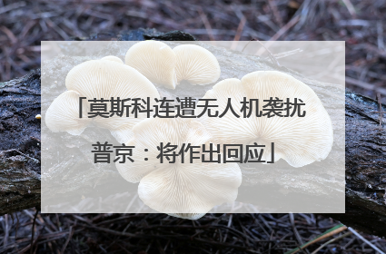 莫斯科连遭无人机袭扰 普京：将作出回应