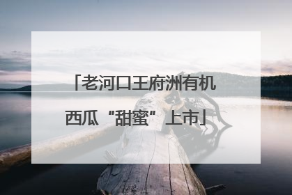 老河口王府洲有机西瓜“甜蜜”上市