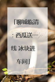 聊城临清：西瓜送一线 冰块进车间