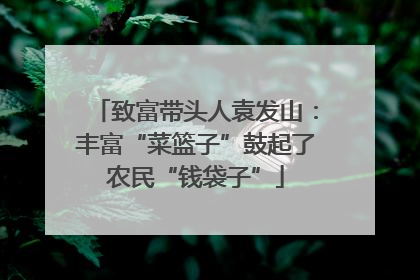 致富带头人袁发山：丰富“菜篮子”鼓起了农民“钱袋子”