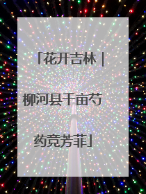 花开吉林｜柳河县千亩芍药竞芳菲