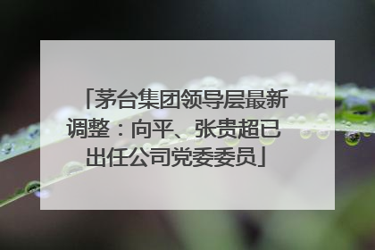 茅台集团领导层最新调整：向平、张贵超已出任公司党委委员