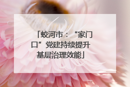 蛟河市：“家门口”党建持续提升基层治理效能