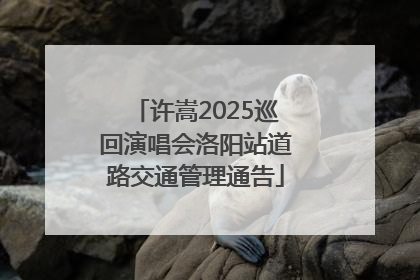 许嵩2025巡回演唱会洛阳站道路交通管理通告
