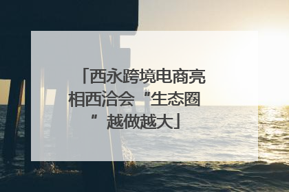 西永跨境电商亮相西洽会“生态圈”越做越大