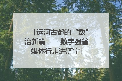 运河古都的“数”治新篇——数字强省媒体行走进济宁