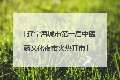 辽宁海城市第一届中医药文化夜市火热开市