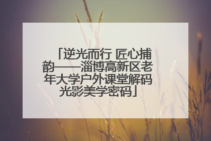 逆光而行 匠心捕韵——淄博高新区老年大学户外课堂解码光影美学密码