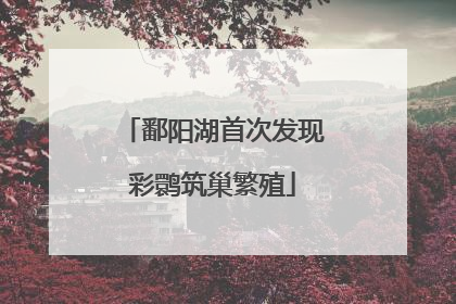 鄱阳湖首次发现彩鹮筑巢繁殖