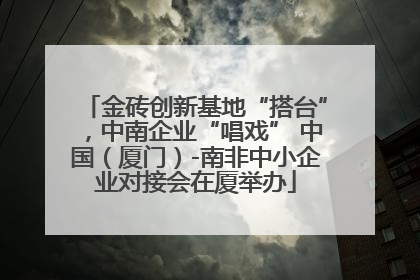 金砖创新基地“搭台”，中南企业“唱戏” 中国（厦门）-南非中小企业对接会在厦举办