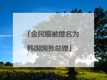 金民锡被提名为韩国国务总理