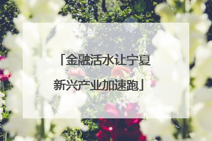 金融活水让宁夏新兴产业加速跑
