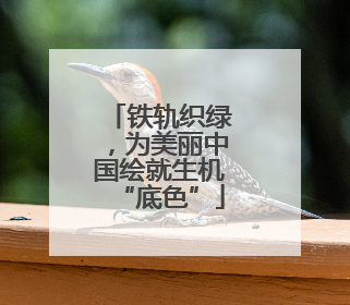 铁轨织绿，为美丽中国绘就生机“底色”