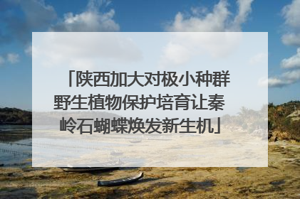 陕西加大对极小种群野生植物保护培育让秦岭石蝴蝶焕发新生机