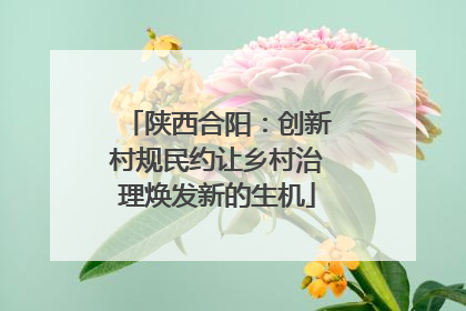 陕西合阳：创新村规民约让乡村治理焕发新的生机
