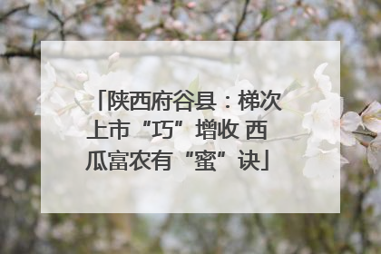 陕西府谷县：梯次上市“巧”增收 西瓜富农有“蜜”诀