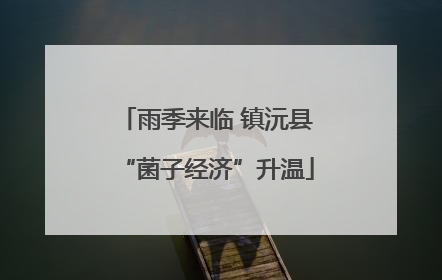 雨季来临 镇沅县“菌子经济”升温