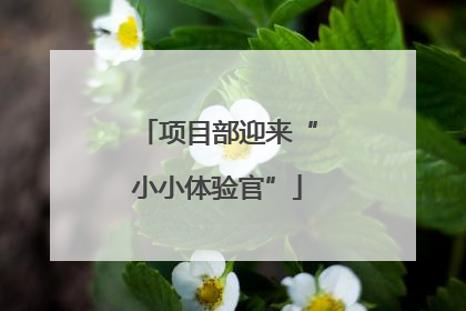 项目部迎来“小小体验官”