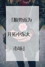 顺势而为开拓中东大市场