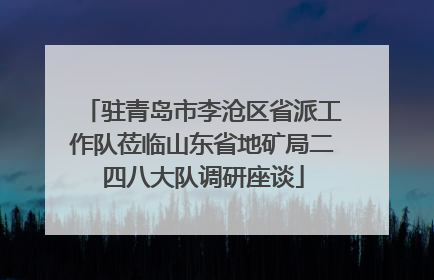 驻青岛市李沧区省派工作队莅临山东省地矿局二四八大队调研座谈