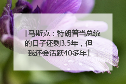 马斯克：特朗普当总统的日子还剩3.5年，但我还会活跃40多年