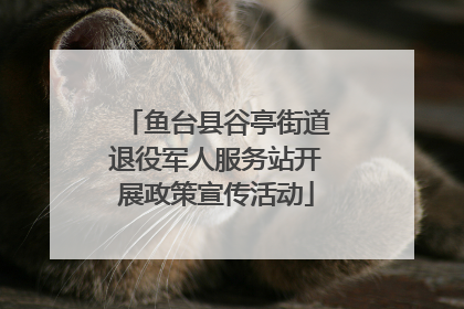 鱼台县谷亭街道退役军人服务站开展政策宣传活动