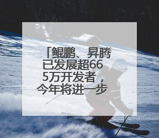 鲲鹏、昇腾已发展超665万开发者，今年将进一步开放