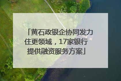 黄石政银企协同发力住更领域，17家银行提供融资服务方案