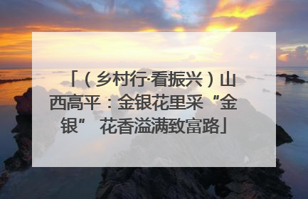（乡村行·看振兴）山西高平：金银花里采“金银” 花香溢满致富路