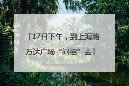 17日下午，到上海路万达广场“问招”去